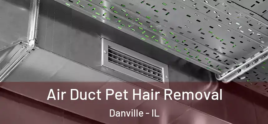 Air Duct Pet Hair Removal Danville - IL