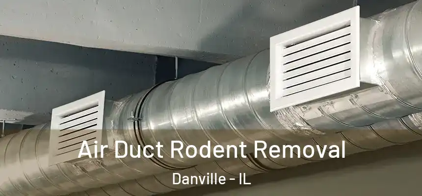 Air Duct Rodent Removal Danville - IL