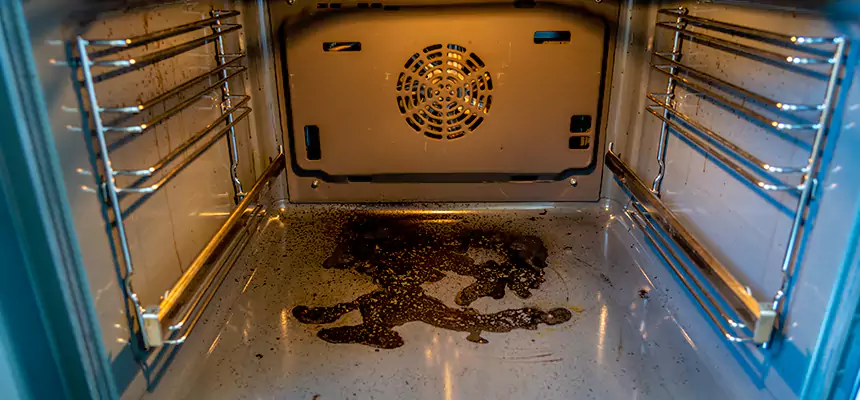 Our Dryer Vent Mold Cleaning Services in Danville, IL