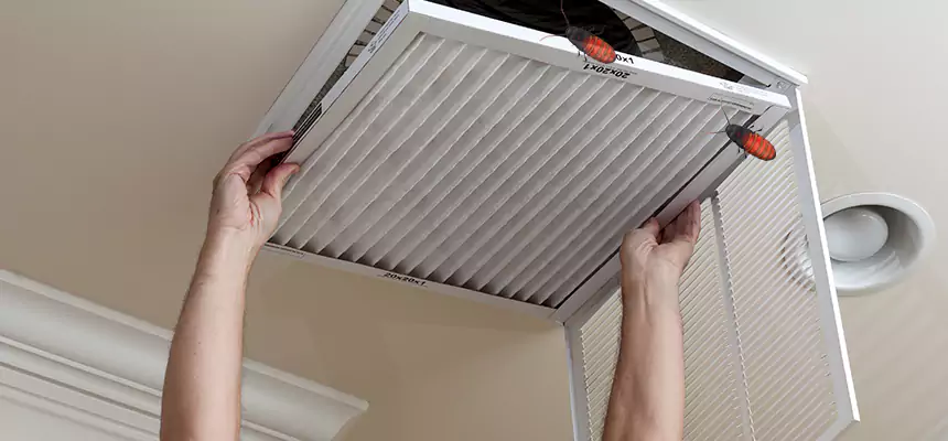 Our Insect Removal from Air Ducts Services in Danville, IL