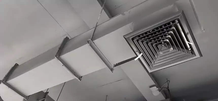 Our Pest Removal From Ducts Services in Danville, IL