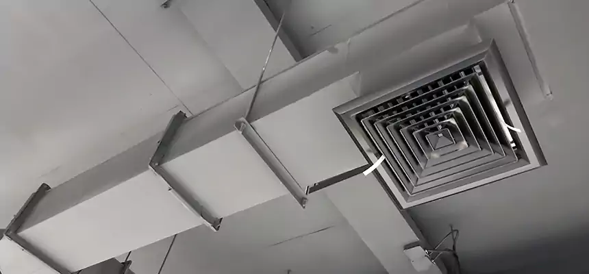 Our Rodent Droppings In Vents Services in Danville, IL