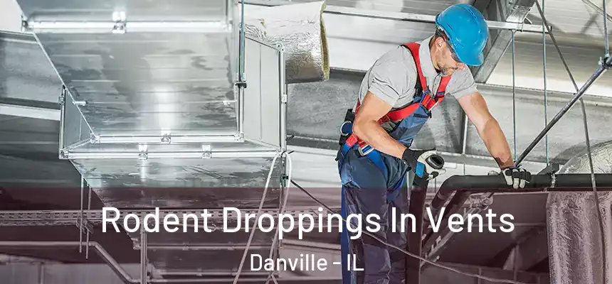 Rodent Droppings In Vents Danville - IL