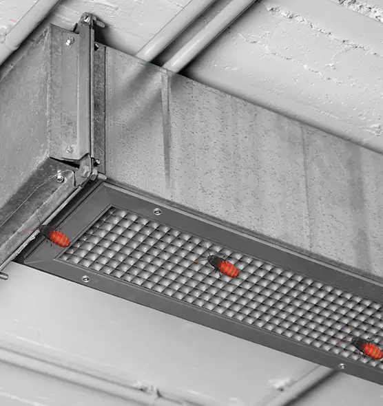 About Air Duct Cockroach Removal in Danville, IL