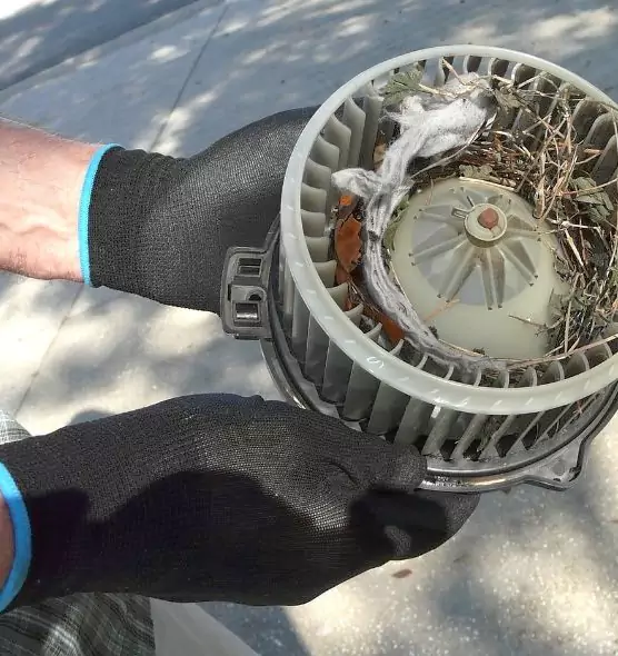 About Air Duct Rat Removal in Danville, IL