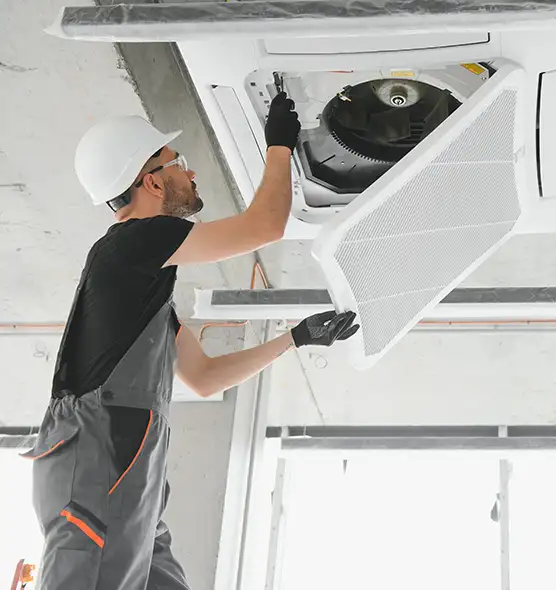 About Air Duct Rodent Removal in Danville, IL