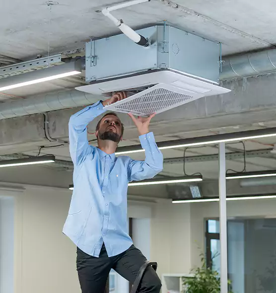 Advanced Rodent Droppings In Vents in Danville, IL