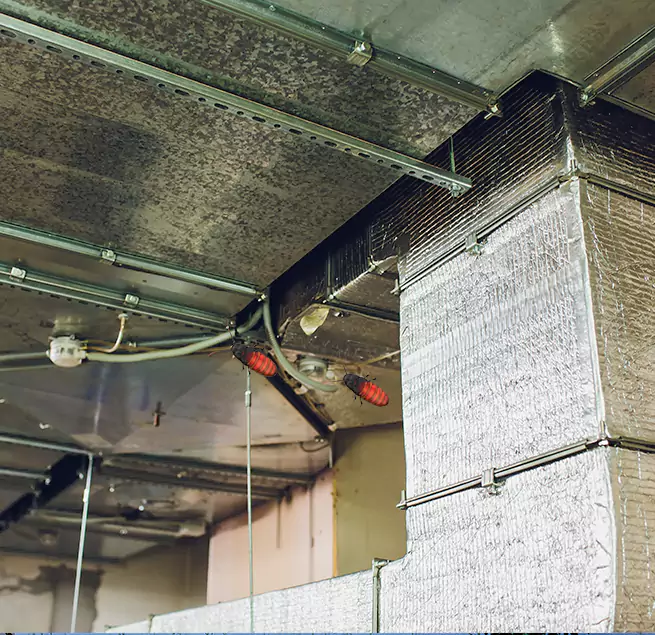 Why Homeowners & Businesses Trust Us in Danville, IL?