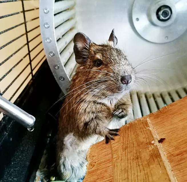 Why Homeowners & Businesses Trust Us Danville, IL?