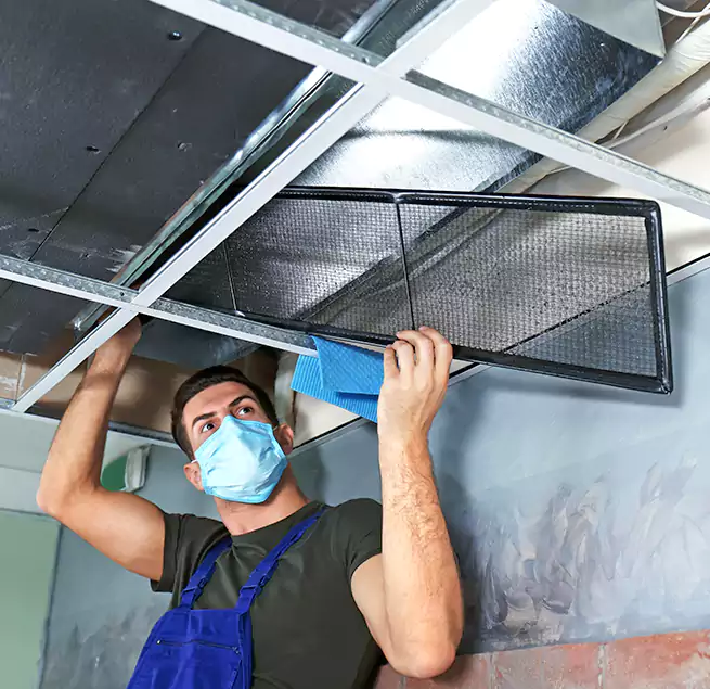 Why Homeowners Businesses Trust Us in Danville, IL