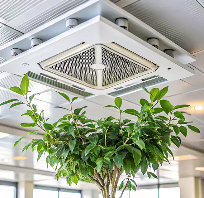 Why Homeowners & Businesses Trust Us in Danville, IL